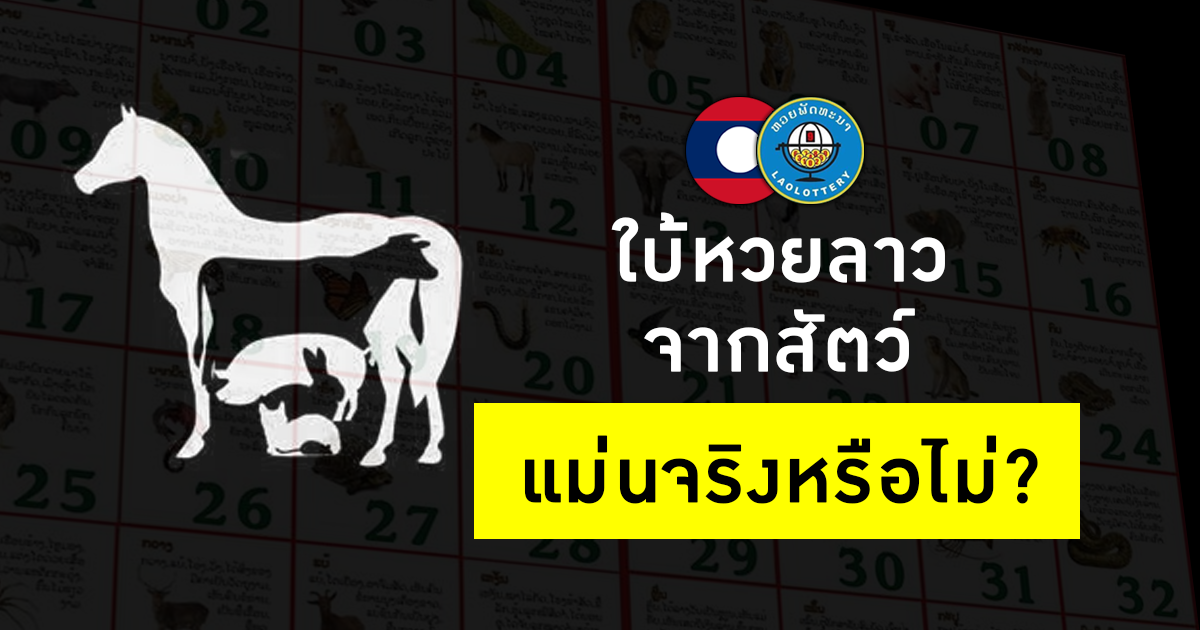 ใบ้หวยลาว จากสัตว์แม่นจริงหรือไม่?